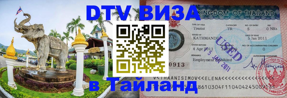 Оформление DTV визы под ключ: стоимость и тарифы, только загранпаспорт - Махачкала  20.11.2025 